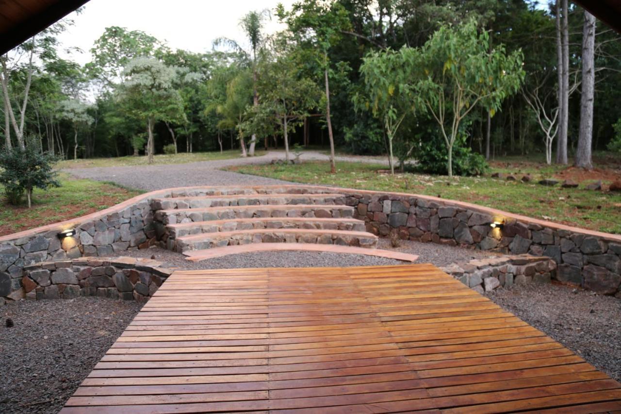 Piel De Timbó *